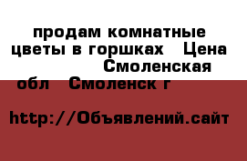 продам комнатные цветы в горшках › Цена ­ 250-400 - Смоленская обл., Смоленск г.  »    